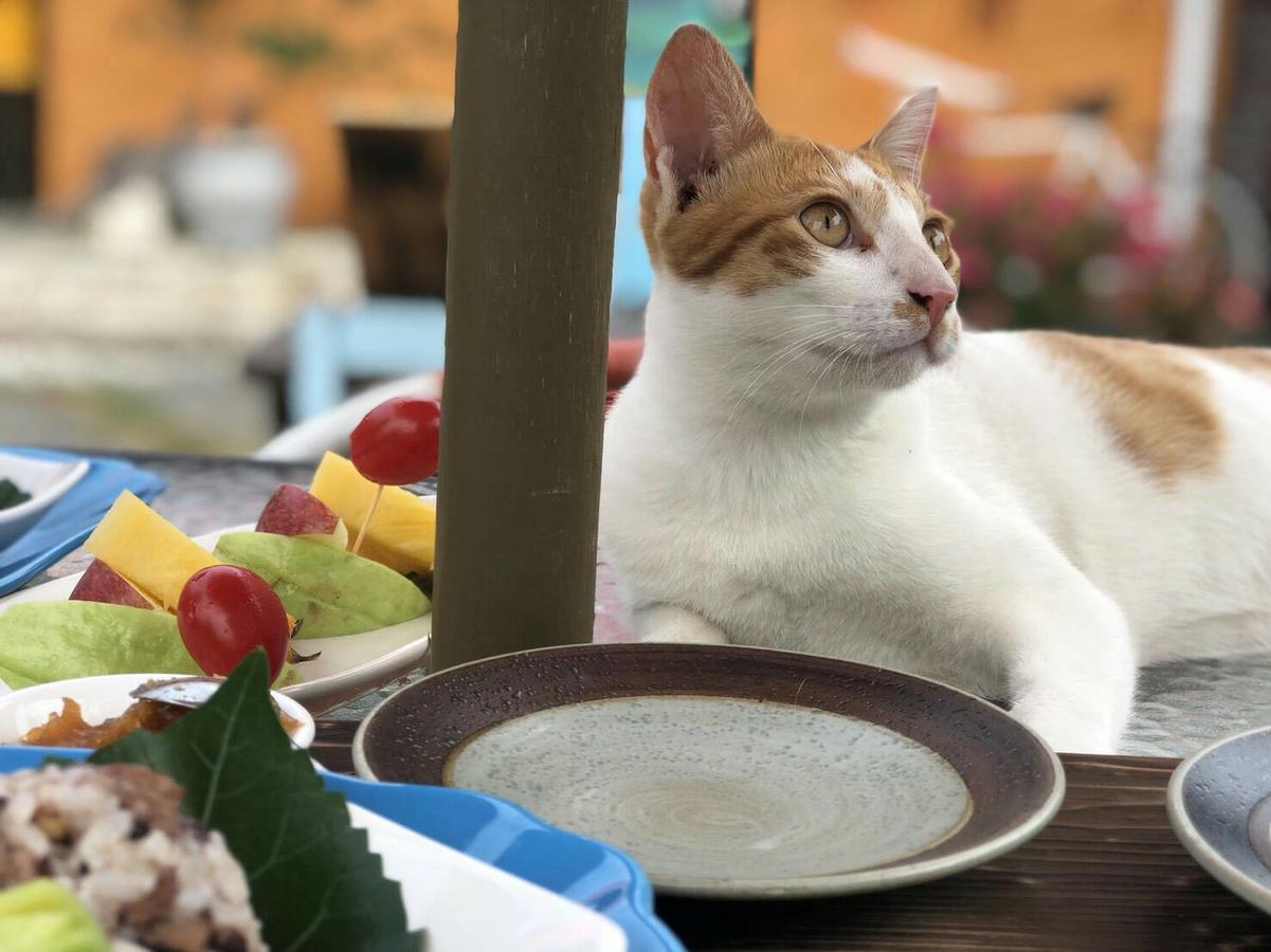 Cat Sky Country Homestay Sanxing Exterior photo