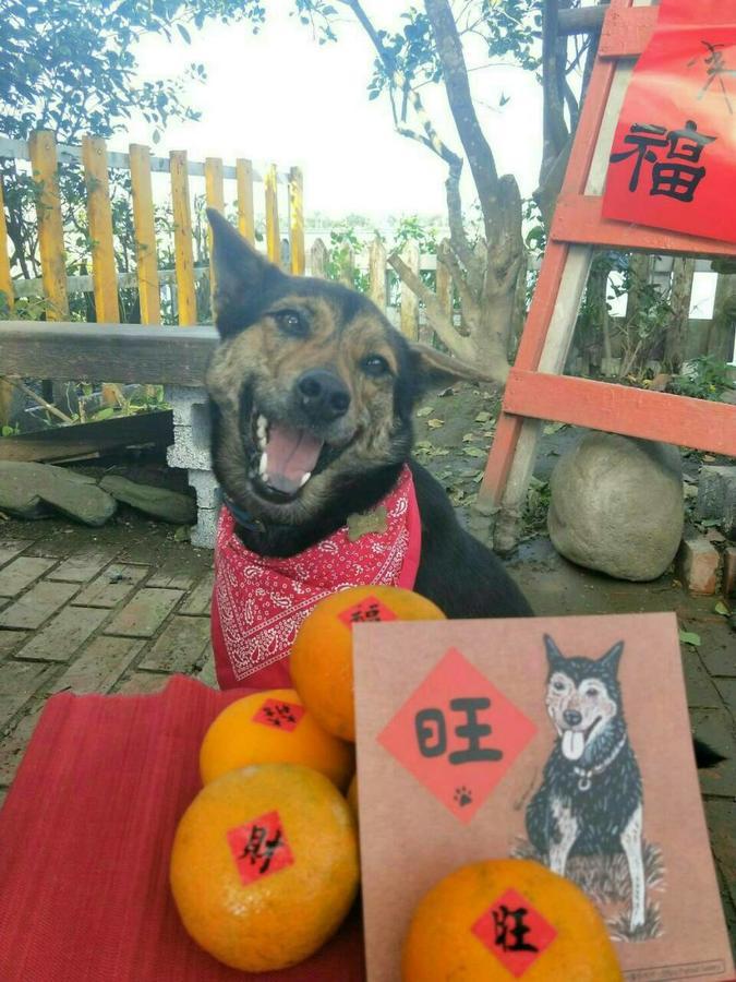 Cat Sky Country Homestay Sanxing Exterior photo