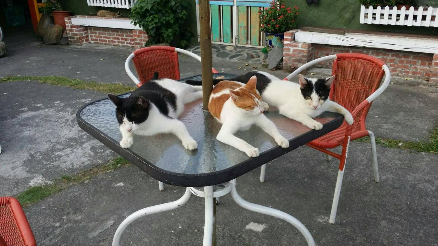 Cat Sky Country Homestay Sanxing Exterior photo